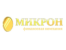 Микрон